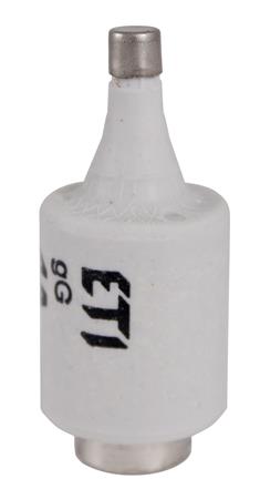 [0825100910] SIKRING DZ2 2A GG 500V