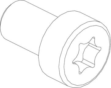 [1914070196] Cylinderskrue torx 3101-0610
