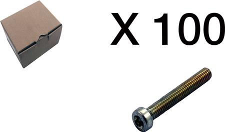 [1914820142] CYLINDERSKRUE, TORX, LAVT HOVED 100 STK.