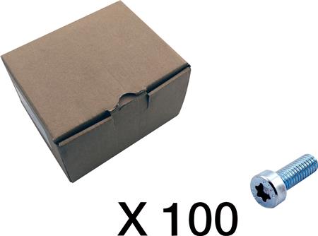 [1914121388] 100 CYLINDERSKRUE, TORX