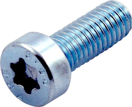 [1914121605] 100 CYLINDERSKRUE, TORX, LAVT HOVED