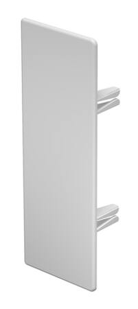 [5500001012] ENDESTYKKE 60X170 MM HVID RAL 9010