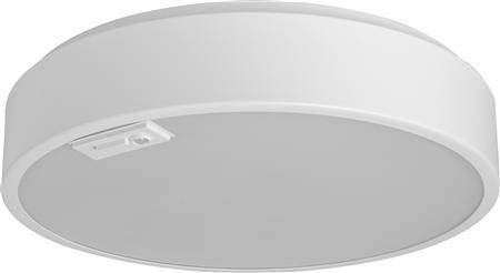 [5442010530] CAMPUS C300 15W CCT EA OPAL