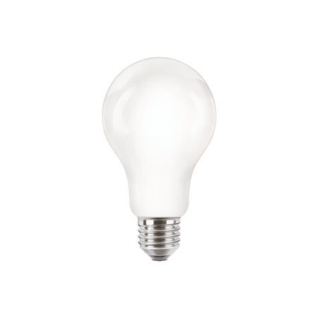[2057814357] COREPRO STD 13W (120W) E27 A67 827 MAT