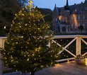 [7848202005] Knirke Julelys 273L Klar/Grøn
