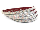 [7857029347] COO LED bånd 5m 24V 14,4W 3000K IP68 m/2x3m kabel